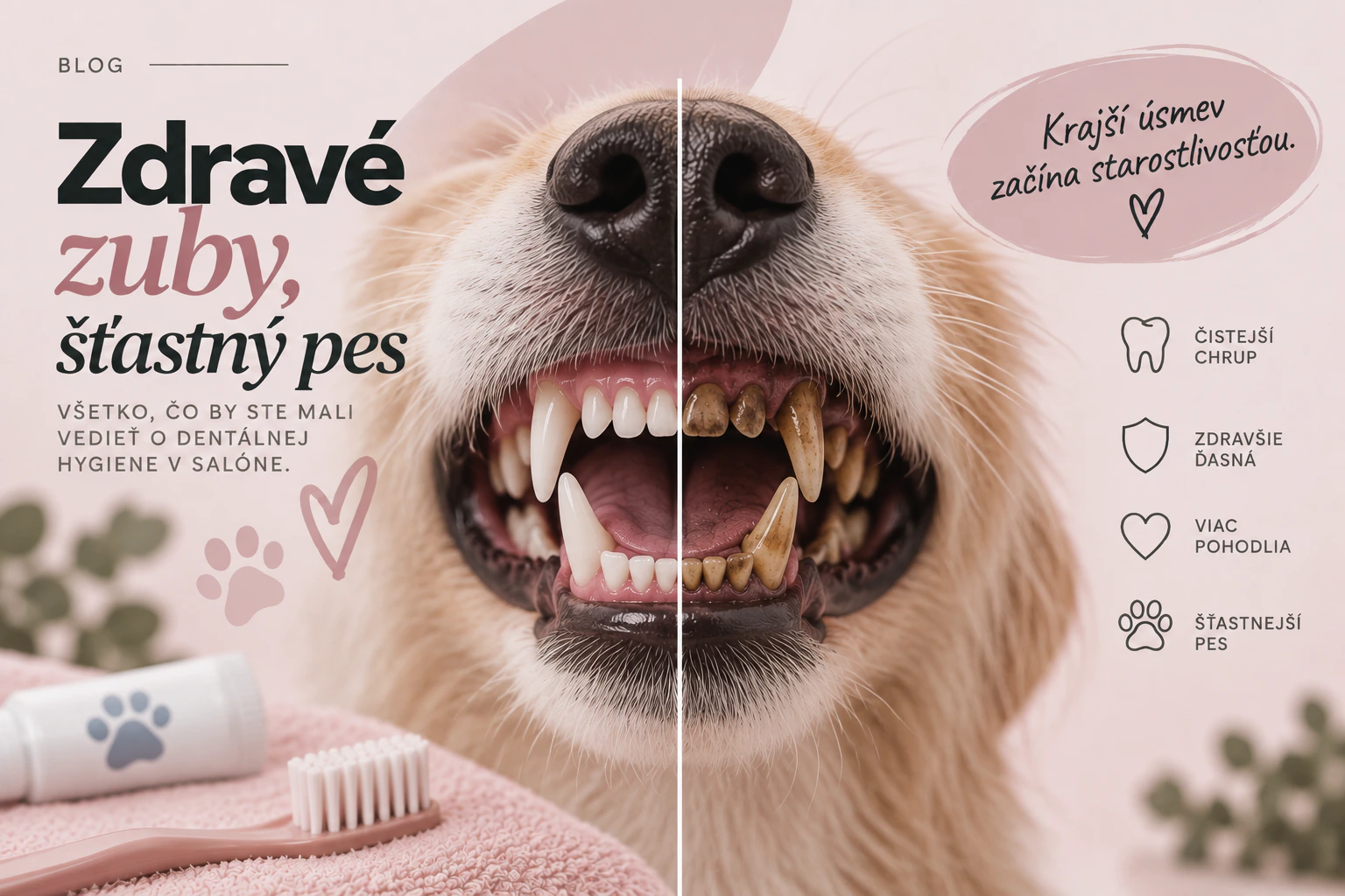 Zdravé zuby a dentálna hygiena psa